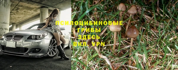 кокс Осташков