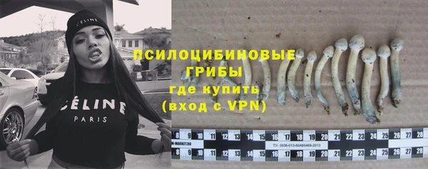 кокс Осташков
