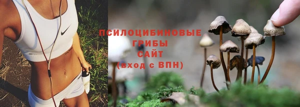 героин Няндома